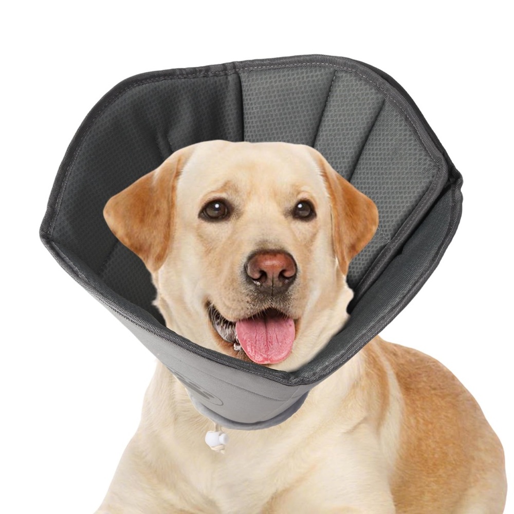 Comfortable Gray Dog Recovery Collar